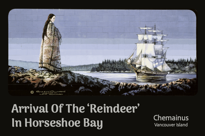 MP406 Arrival of The "Reindeer" In Horseshoe Bay