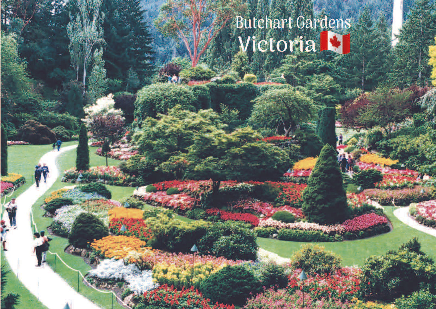 MU019 /Mag11 Butchart Gardens - Sunken Garden