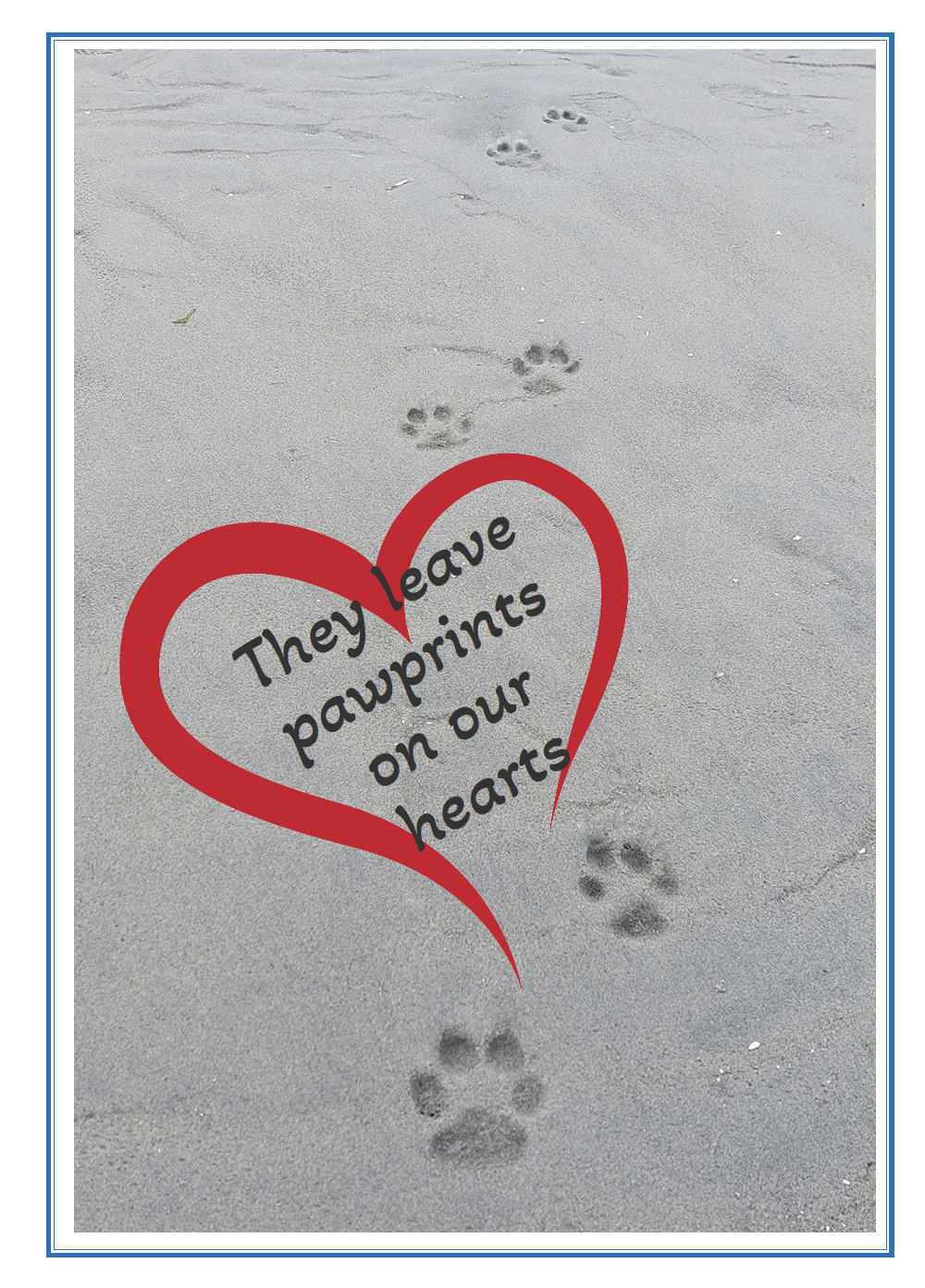 Ss892 Pawprints on our hearts