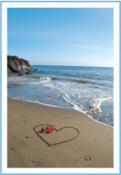 Sx815 /SC28 Sand heart