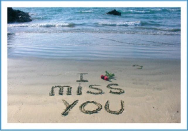 Sm411 /SC11 I Miss You