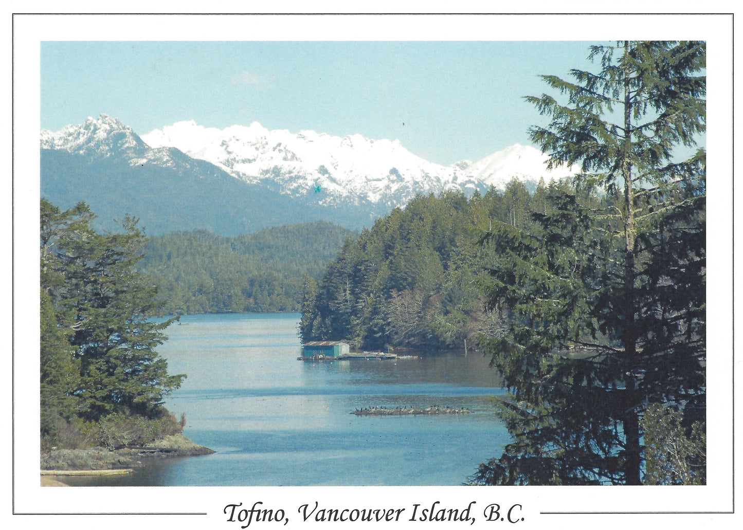 AC012 /AC12 Tofino Islands