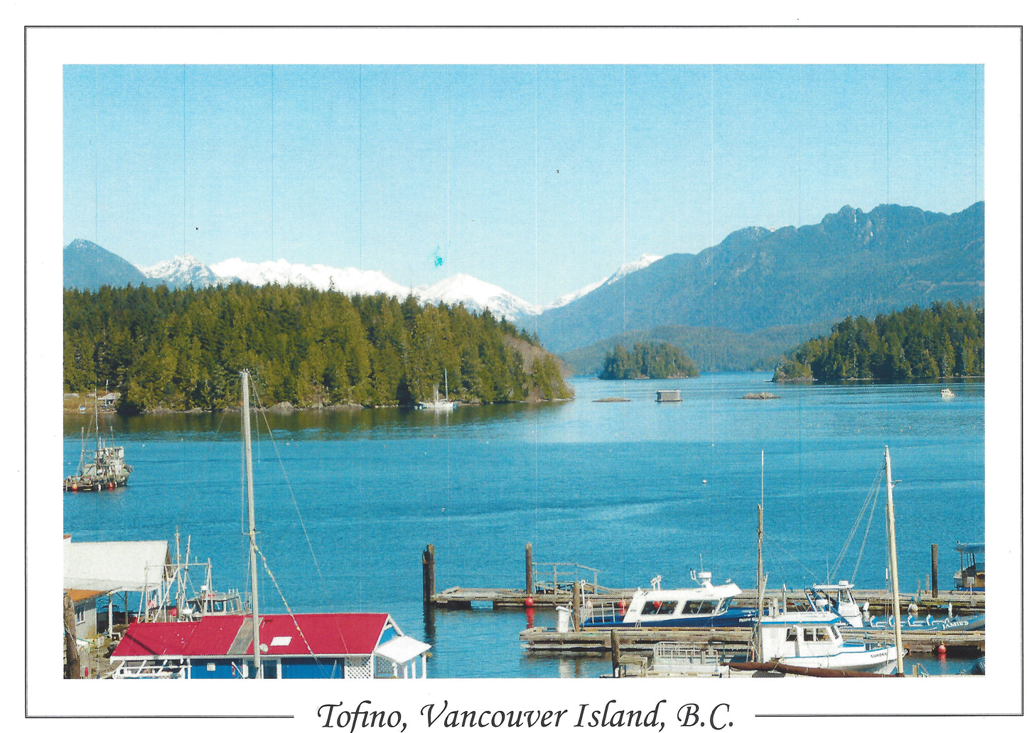 AC013 /AC13 Tofino harbour
