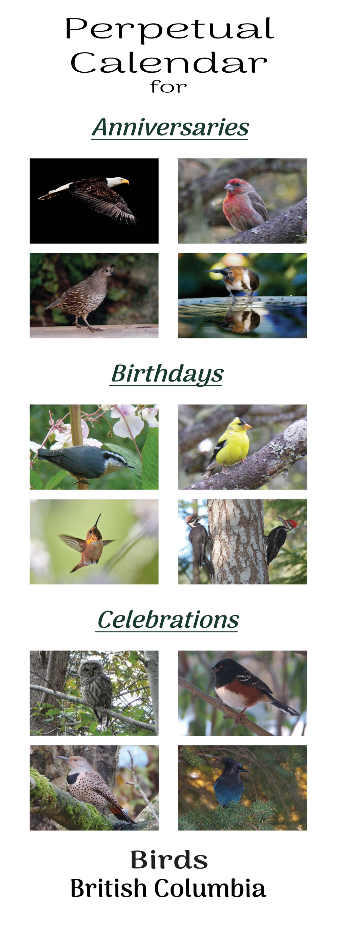 CA002 Birds of British Columbia Perpetual Calendar