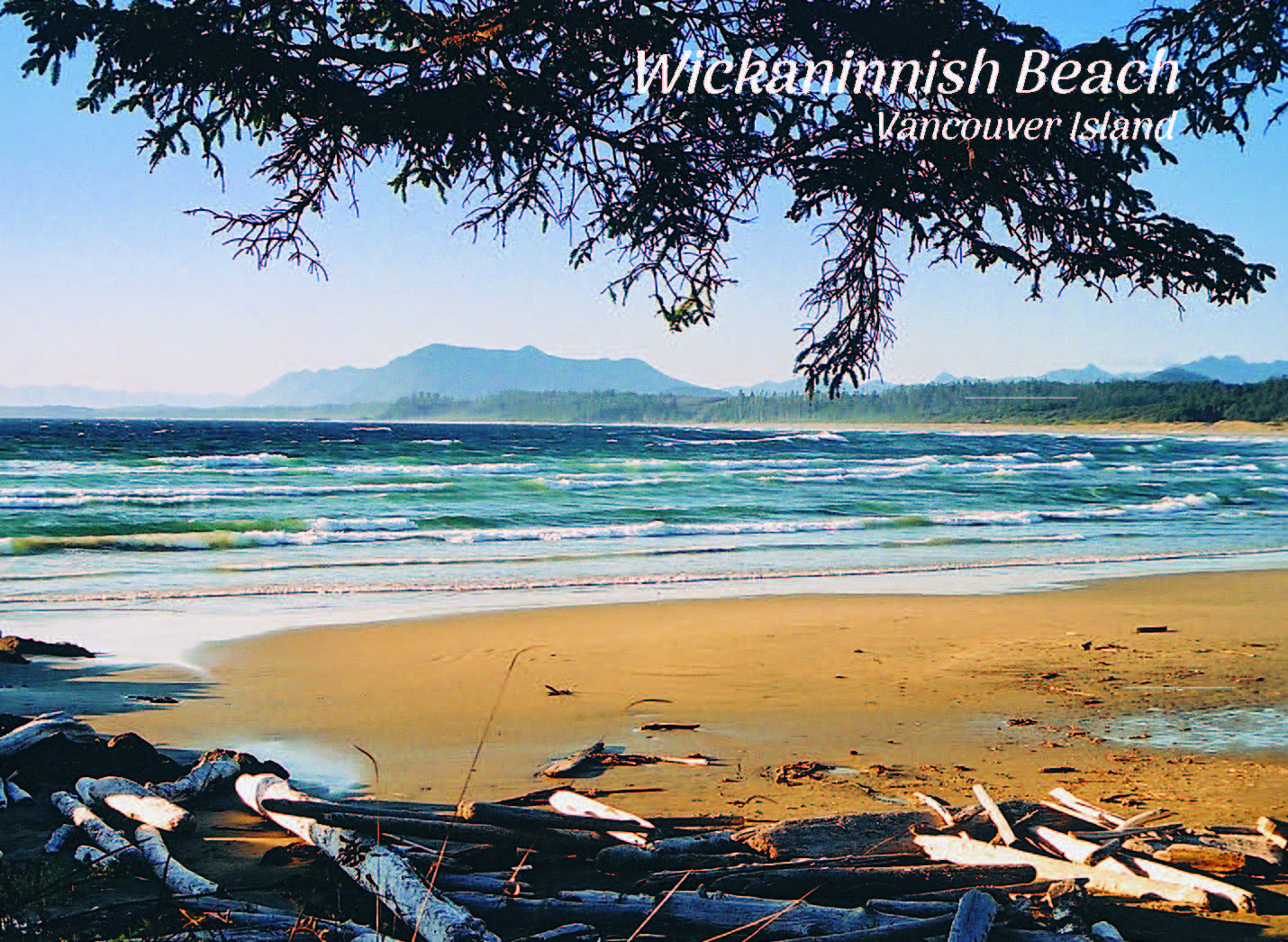 PB017 /P174 Wickaninnish Beach