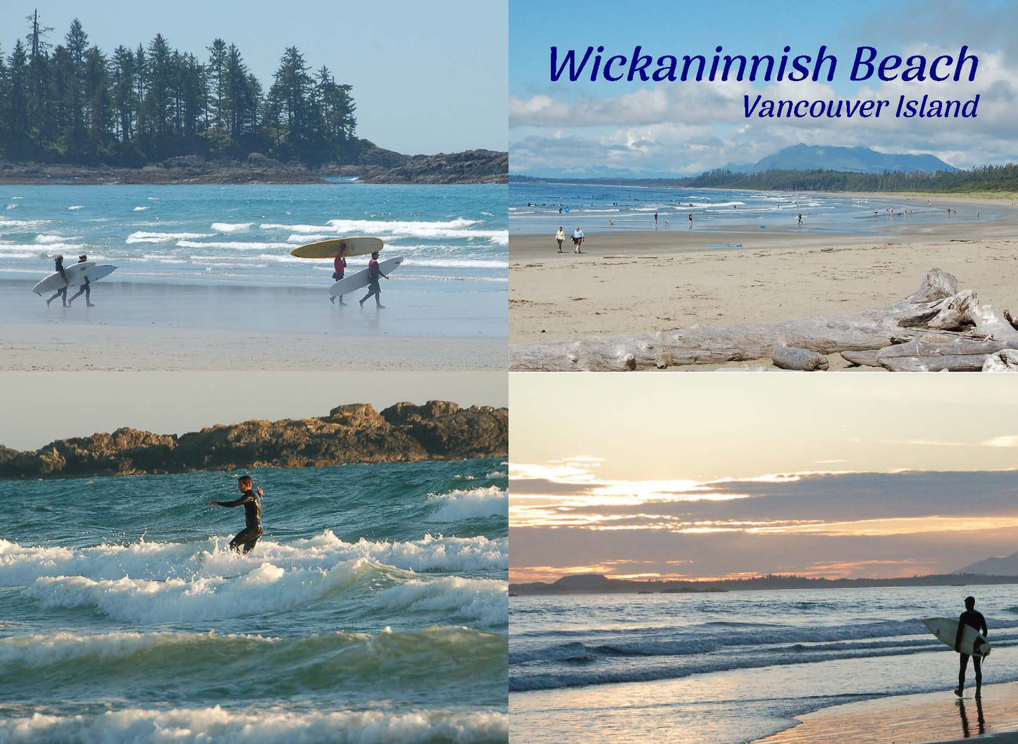 PC118 /P239 Wickaninnish Beach