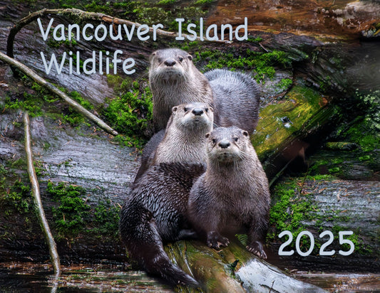 2025 Calendar - Wildlife of Vancouver Island