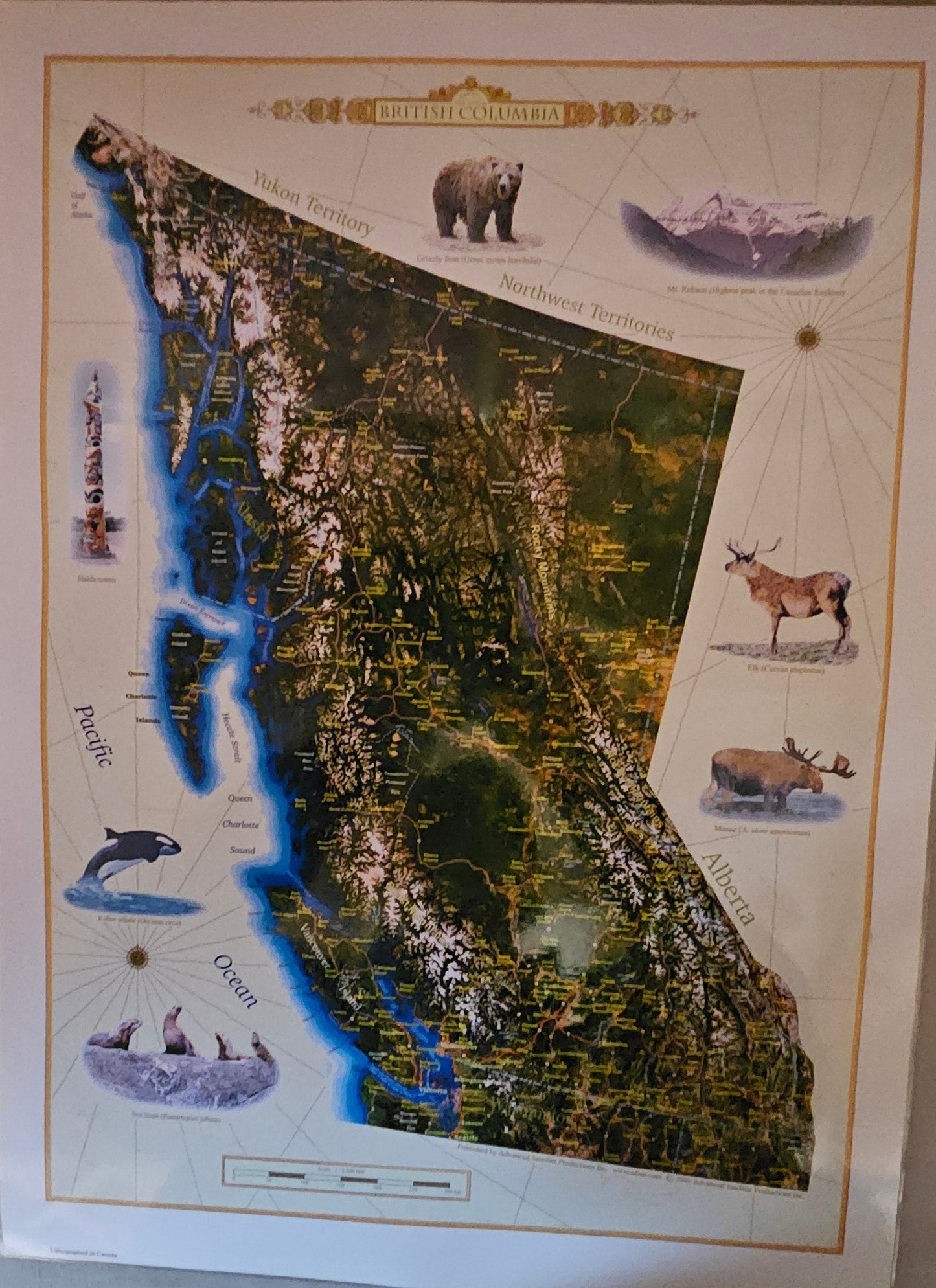 C26 Animals &  British Columbia, poster map