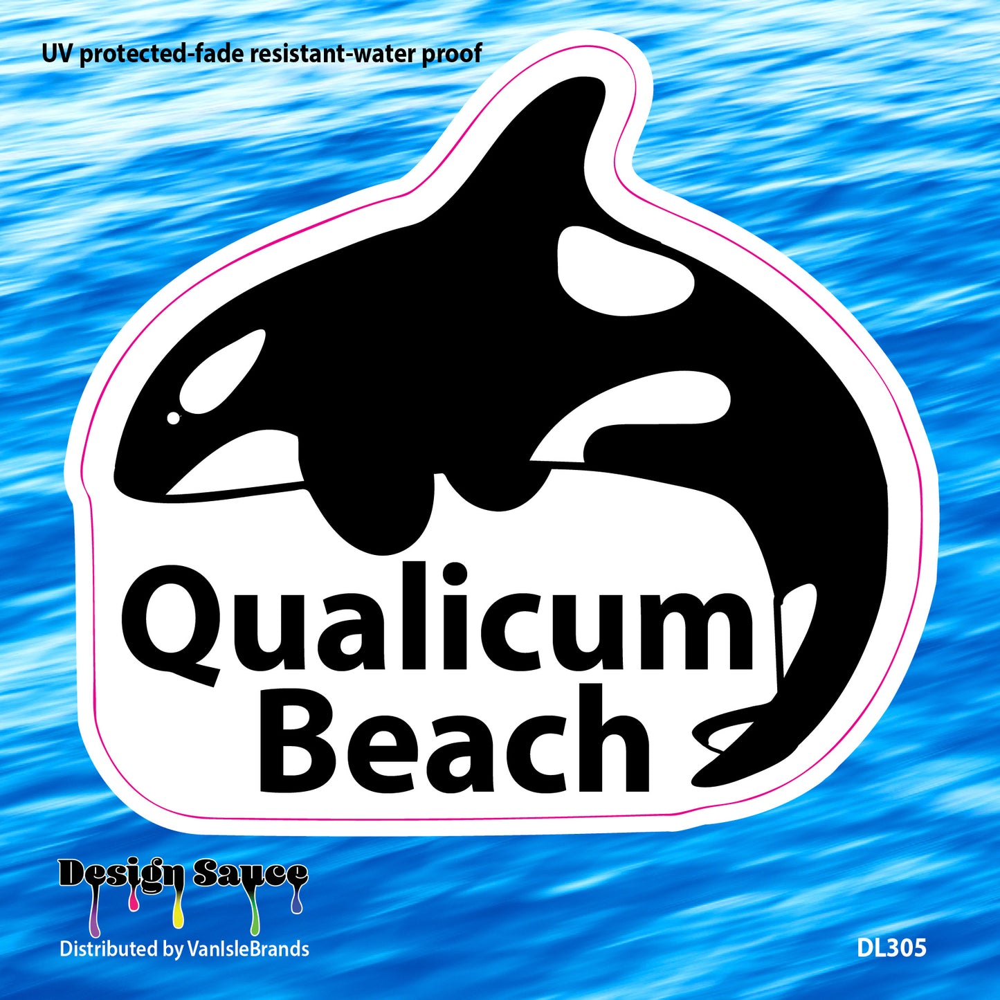 DL305 Orca Qualicum Beach 6"