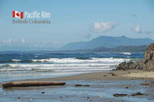 MB011 /Mag09 Pacific Rim