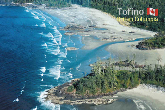 MC012 Tofino aerial