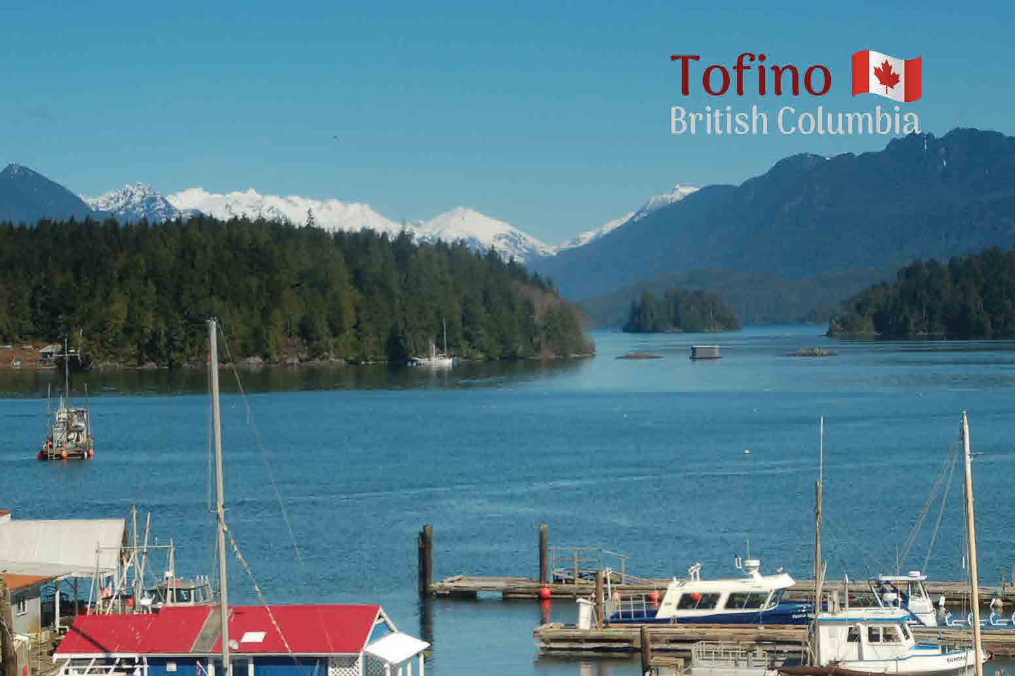 MC019 /Mag14 Tofino Harbour