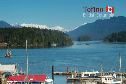 MC019 /Mag14 Tofino Harbour