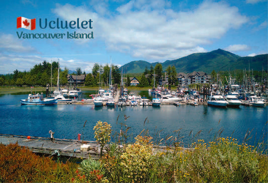 MD015 /Mag05 Ucluelet Harbour
