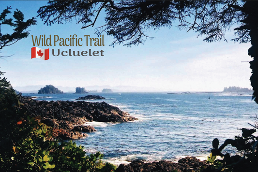 MD016 Wild Pacific Trail Ucluelet