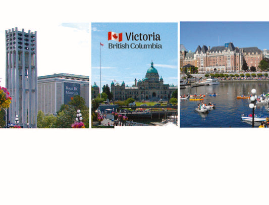MS911 /PM02 Victoria 3 scene multi