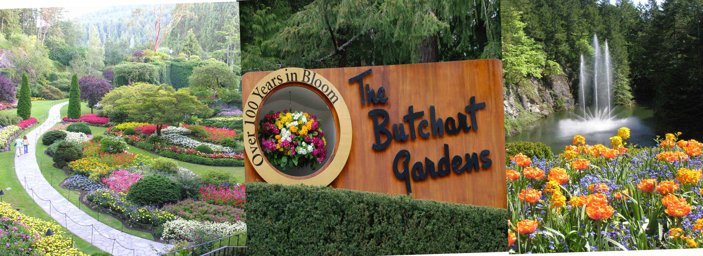 MU911 /PM08 Butchart Gardens 3 scene