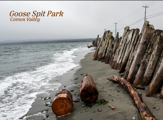 PI210 Goose Spit Park, Comox Valley