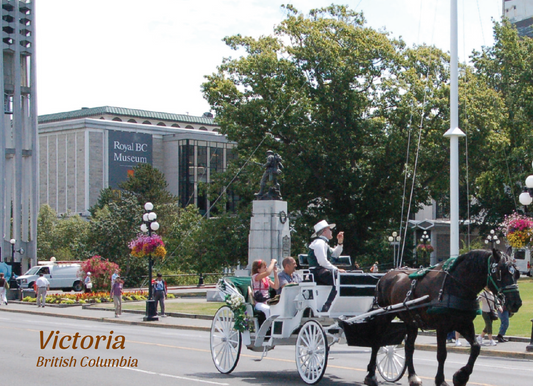 PS019 /P300 Carillon and carriage