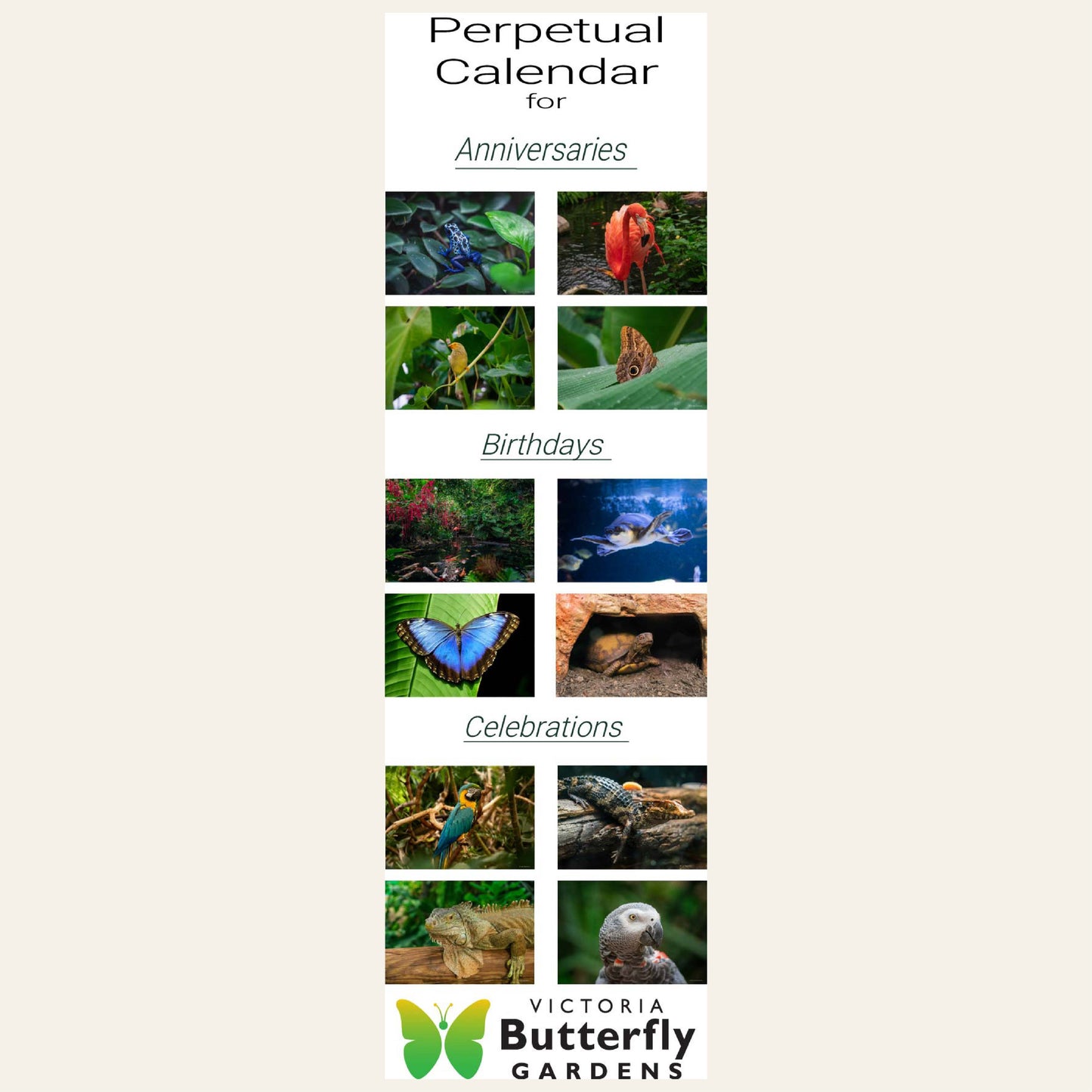 CU601 Butterfly Gardens Perpetual Calendar (2026)