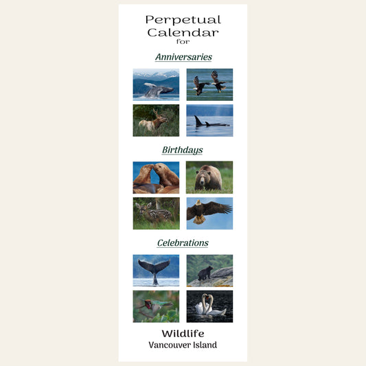 CA001 Wildlife Perpetual Calendar