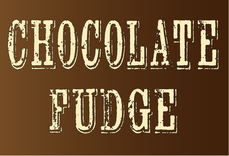 F0900 Chocolate Fudge-To-Go