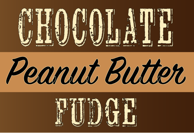 F1300 Chocolate Peanut Butter Fudge-To-Go