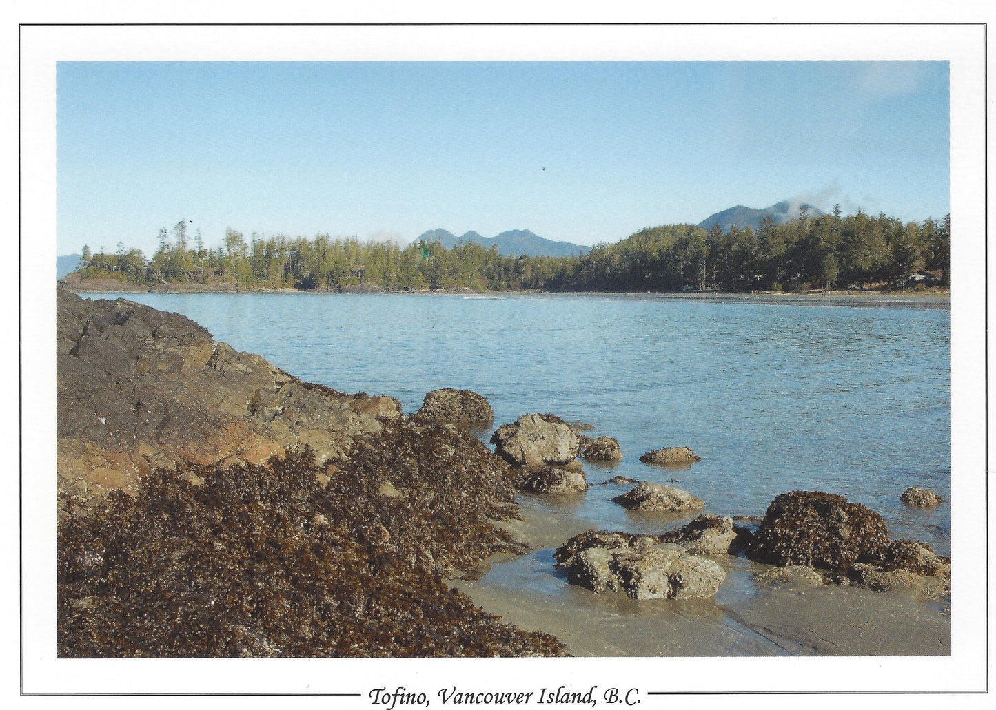 AC011 /AC 11 Tofino Rocky beach