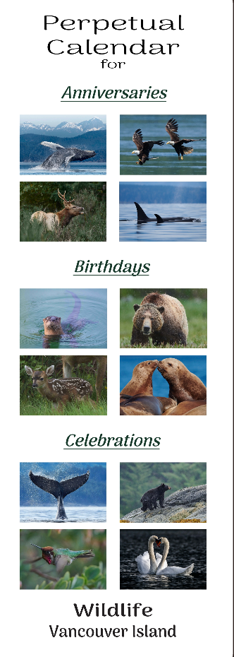 CA001 Wildlife Perpetual Calendar