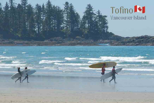 MC027 surfers, Tofino