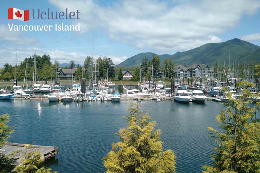 MD011 Ucluelet harbour