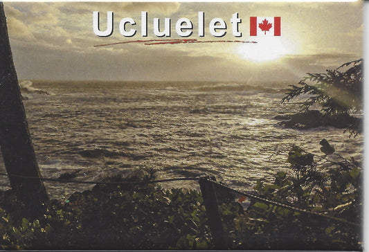 MD014 Ucluelet beach