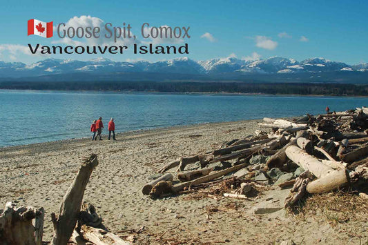 MI052 Goose Spit, Comox