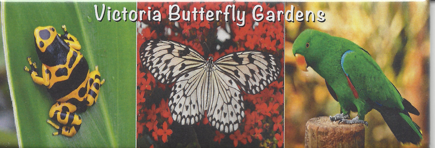 MU951 /BGPM01 Butterfly Gardens