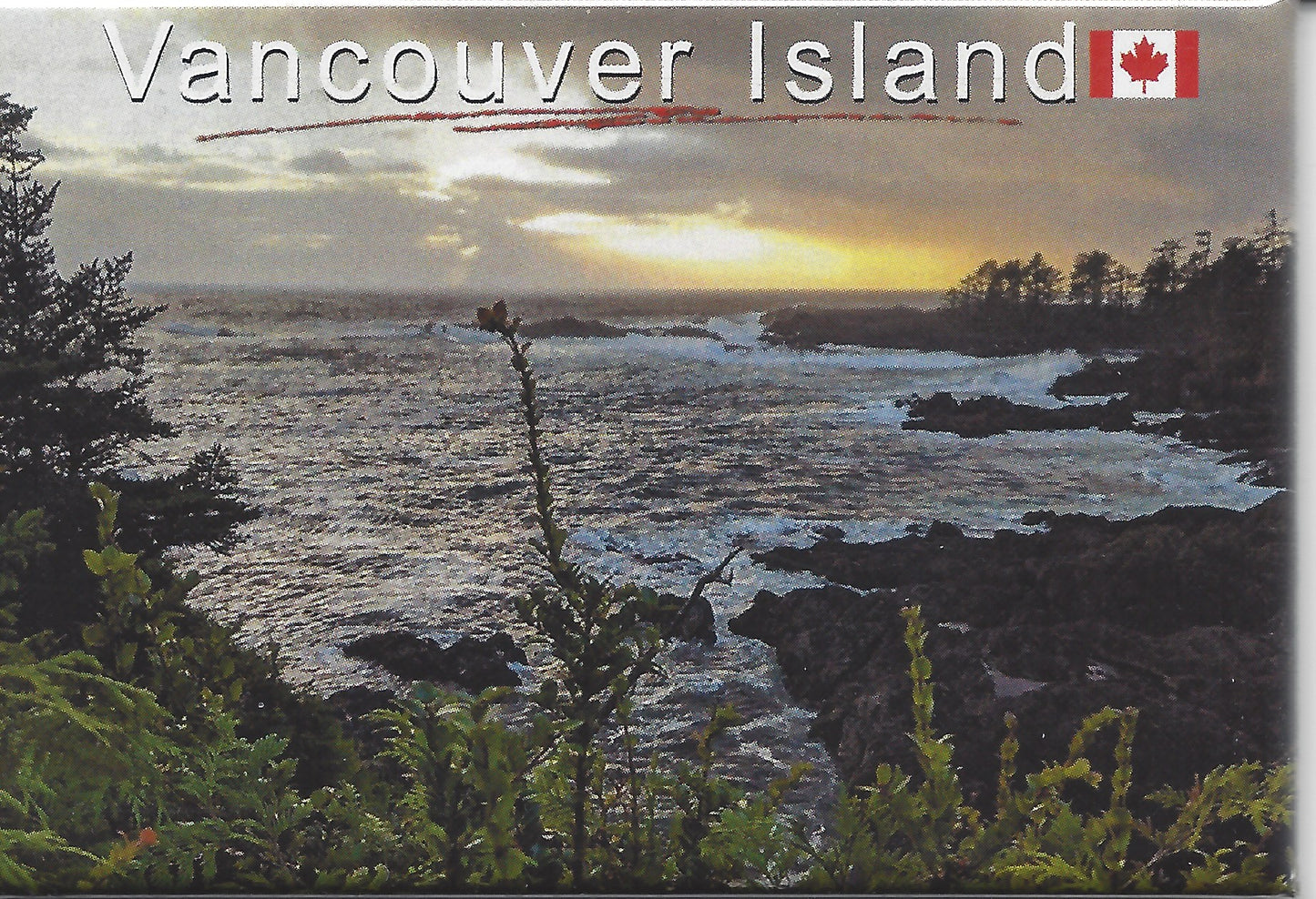 MZ053 /Mag V 53 Vancouver Island beach with skinny tree