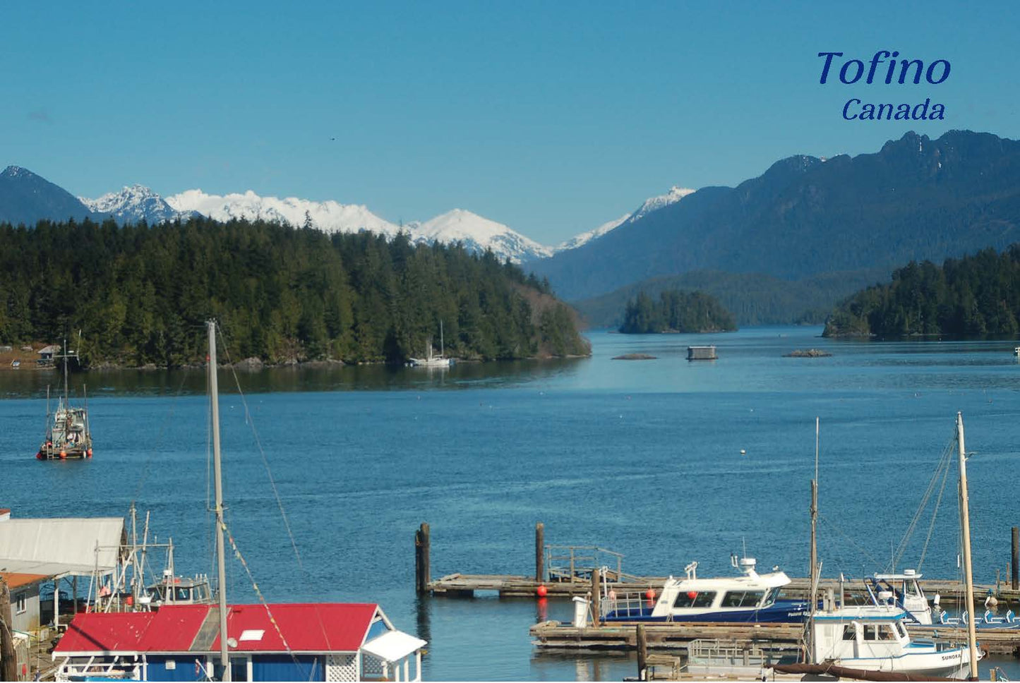 PC019 /P258 Tofino Harbour