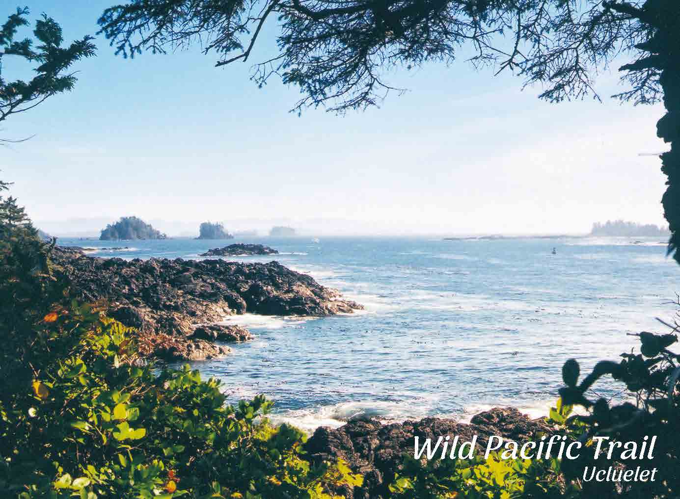 PD016 Wild Pacific Trail, Ucluelet