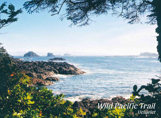 PD016 Wild Pacific Trail, Ucluelet