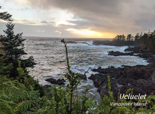 PD053 Lighthouse Loop, Ucluelet