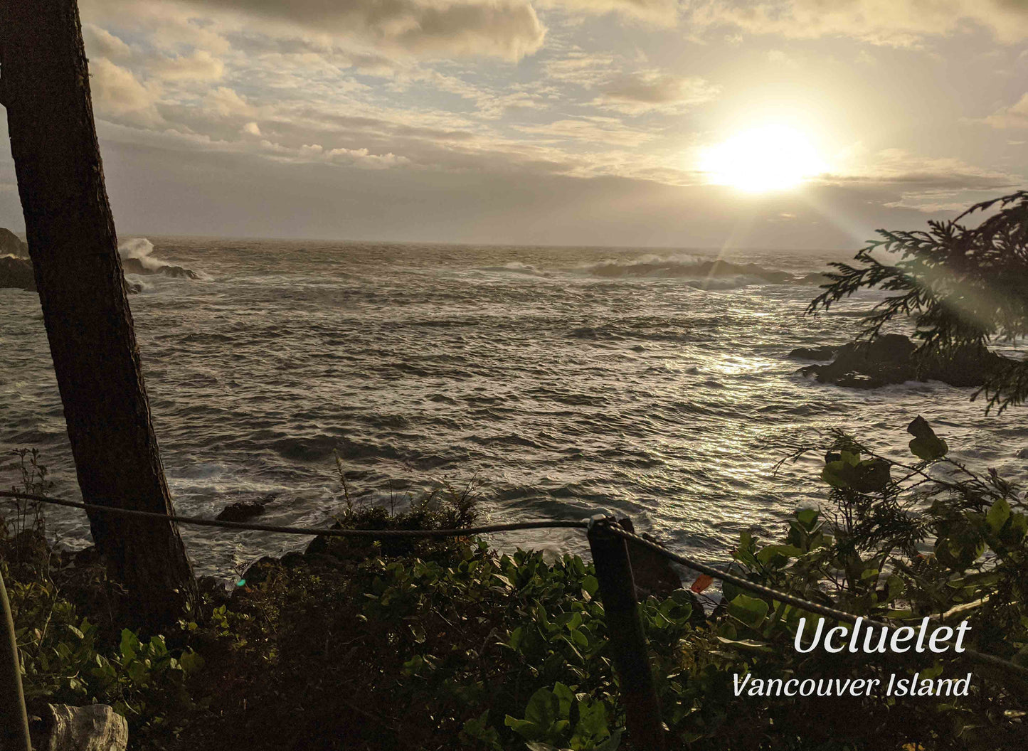 PD054 Ucluelet oceanview