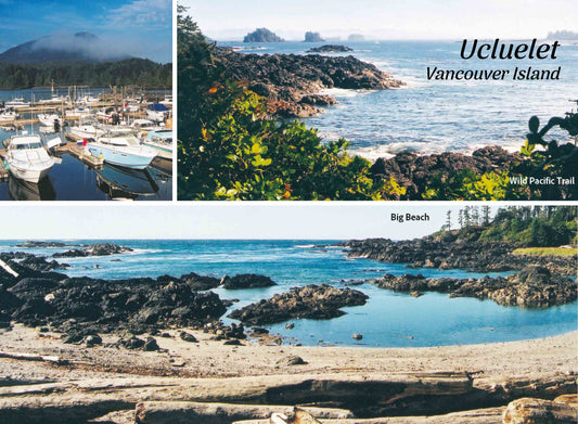 PD112 /P183 Ucluelet 3 scene