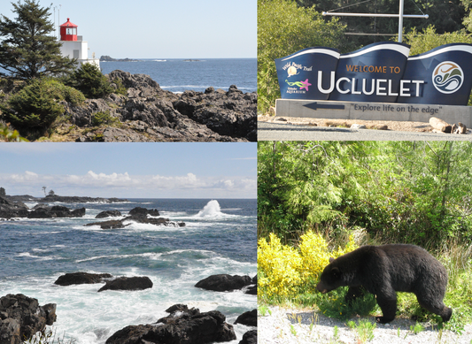 PD113 /P363 Ucluelet Multi