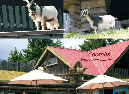 PF113 Goats, Coombs