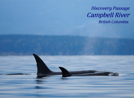 PH640 Orcas, Campbell River