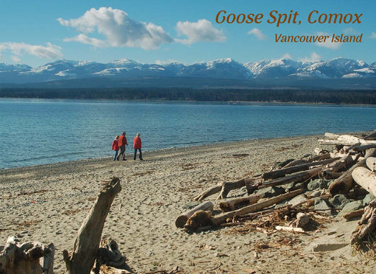 PI052 /P277 Goose Spit, Comox