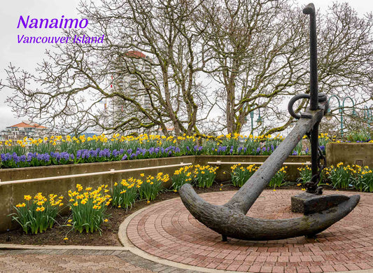 PN211 HarbourWalk anchor