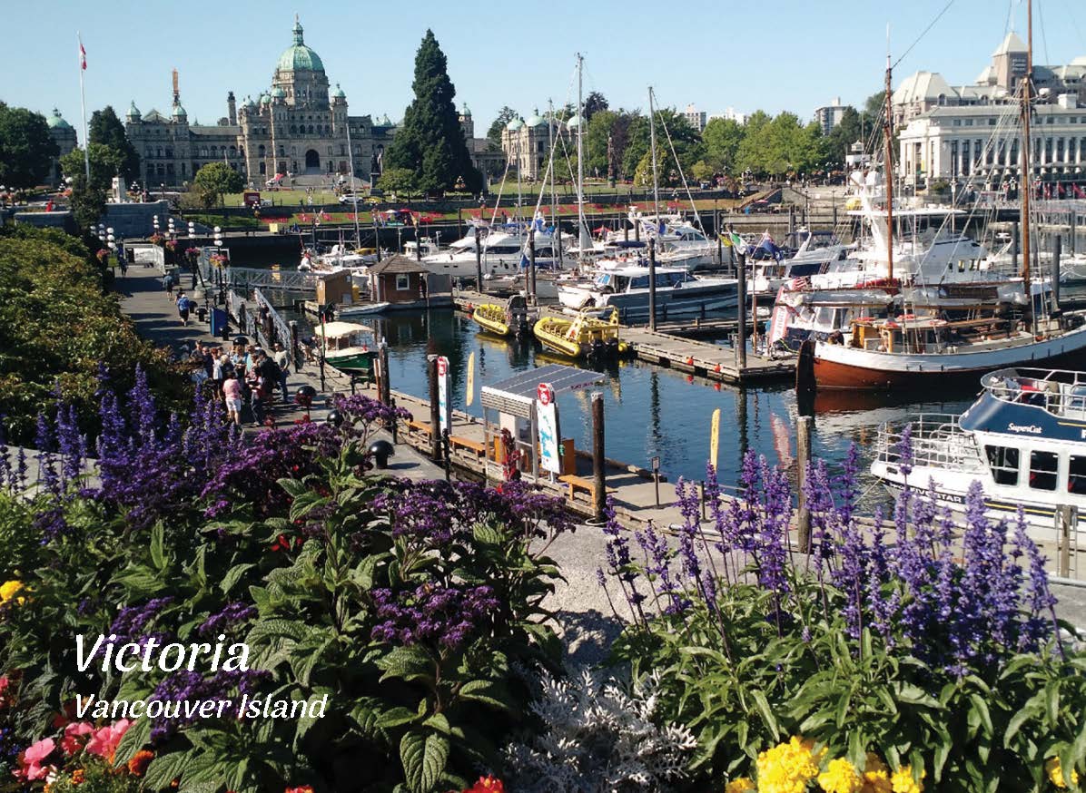 PS013 /P366 - Inner harbour flowers