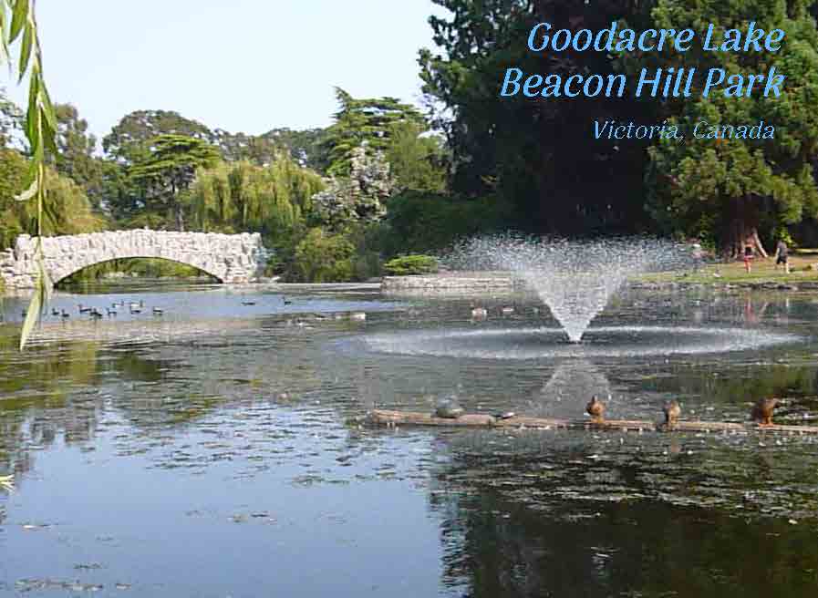 PS031 Goodacre Lake, Beacon Hill Park