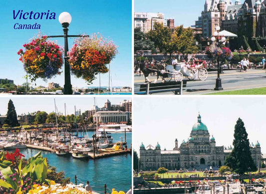 PS114 /P181 Victoria 4 scene