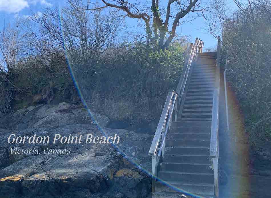 PS310 Gordon Point Beach